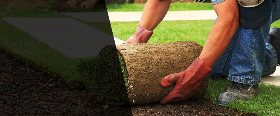 Kaunakakai Landscapers